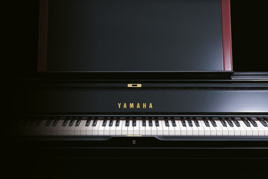 Unlocking the Symphony: Your Guide to Choosing the Perfect Piano or Keyboard | Sieffs Music - Sieffs Music