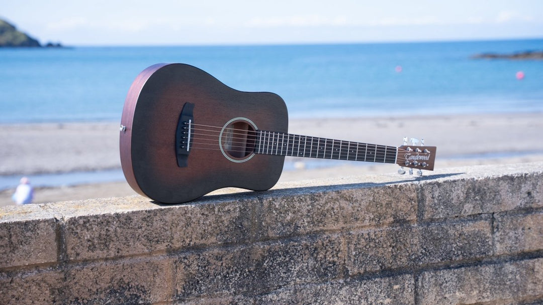 Acoustic Guitars - Sieffs Music