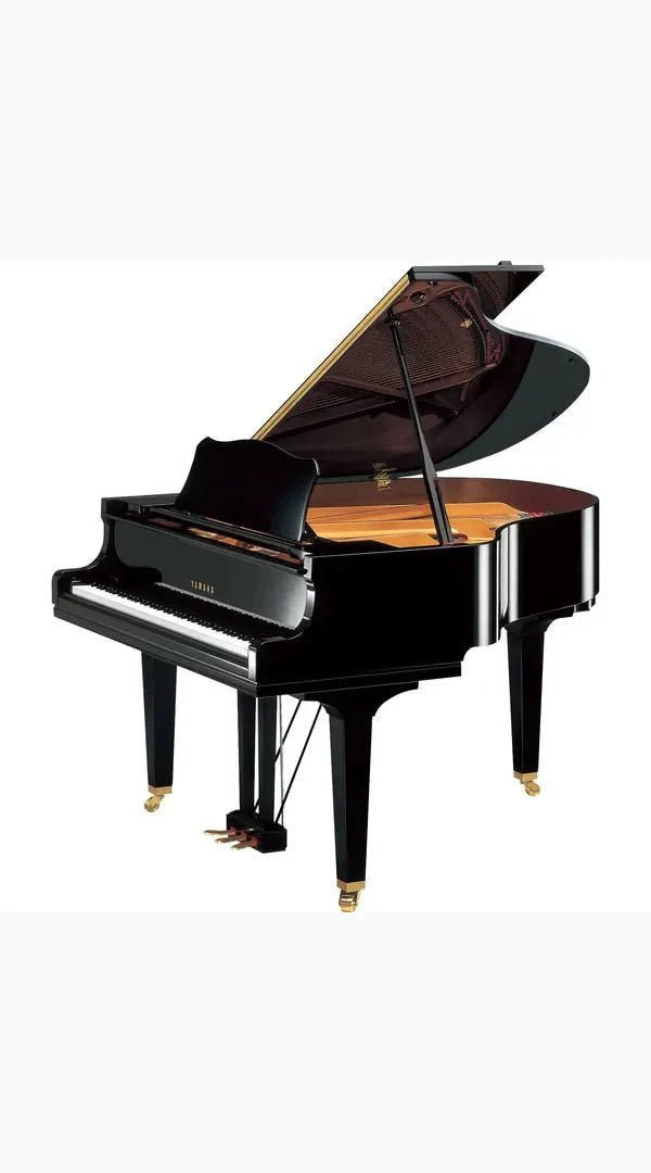 Grand Pianos - Sieffs Music