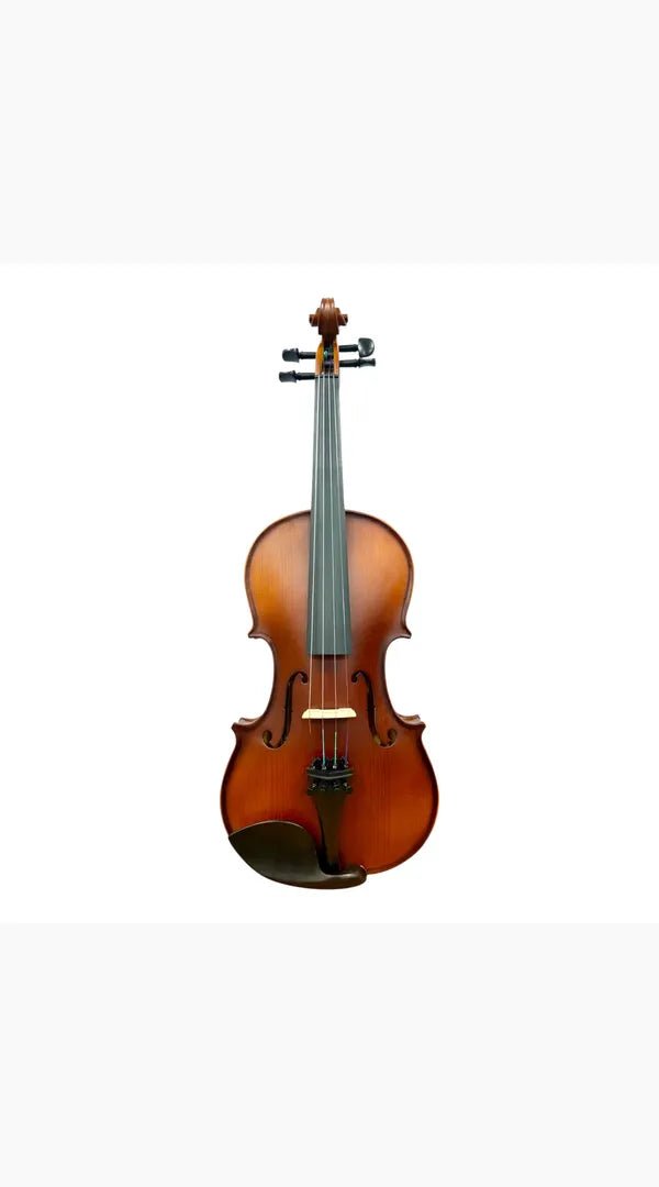 Caraya MV011 4/4 Violin Outfit with Shoulder Rest - Sieffs Music