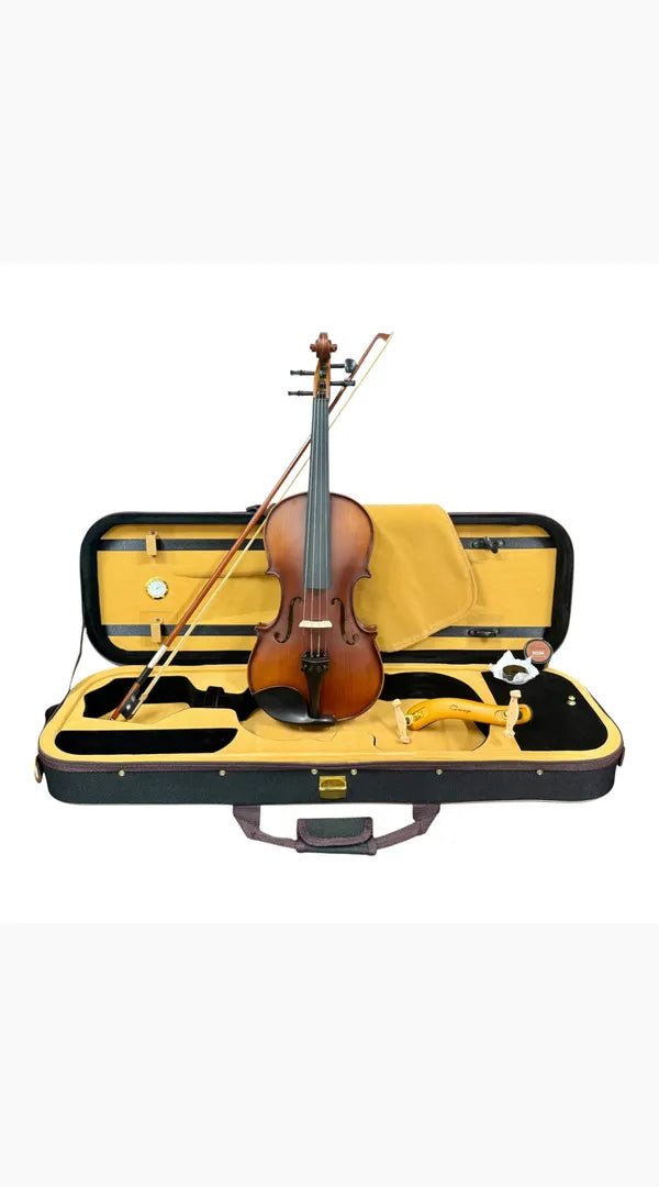 Caraya MV011 4/4 Violin Outfit with Shoulder Rest - Sieffs Music