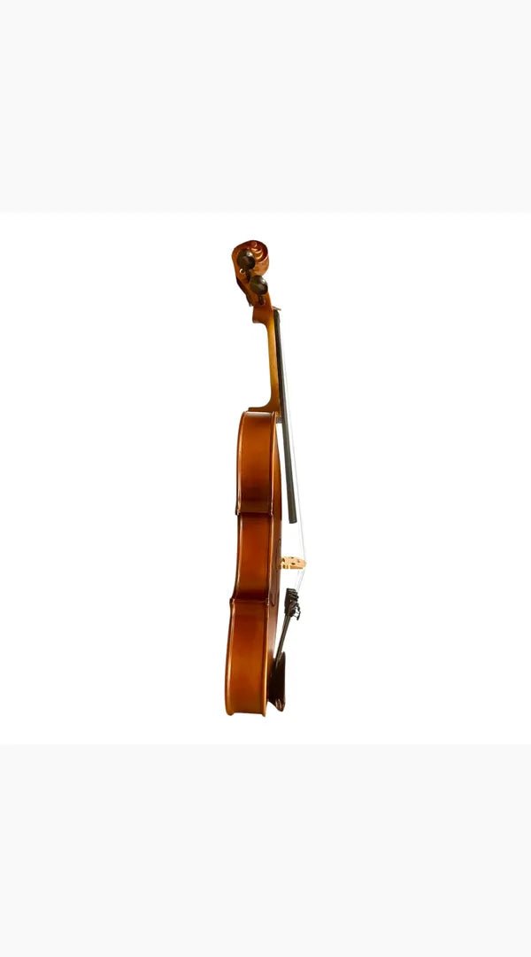 Caraya MV011 4/4 Violin Outfit with Shoulder Rest - Sieffs Music
