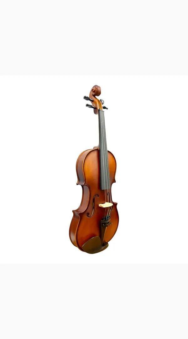 Caraya MV011 4/4 Violin Outfit with Shoulder Rest - Sieffs Music