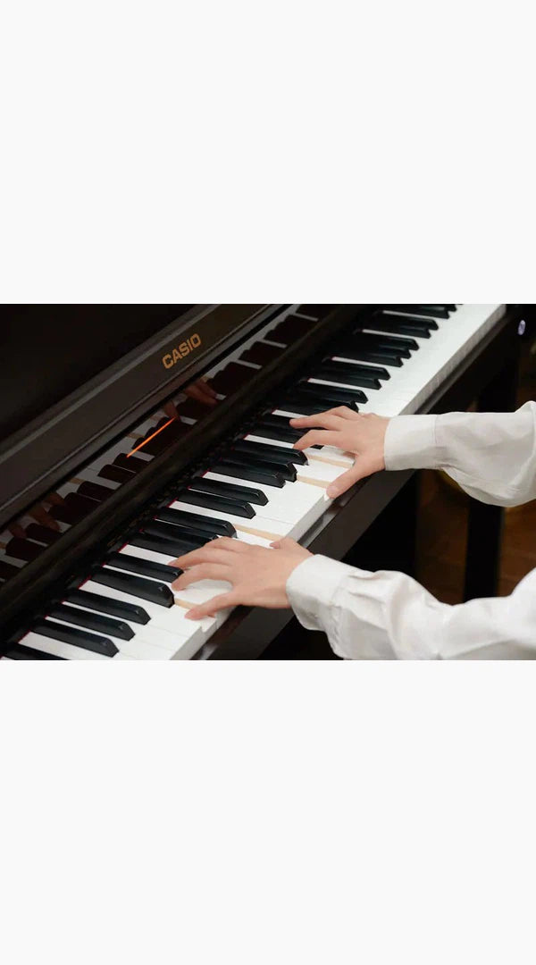 Casio Celviano AP-550 - Sieffs Music