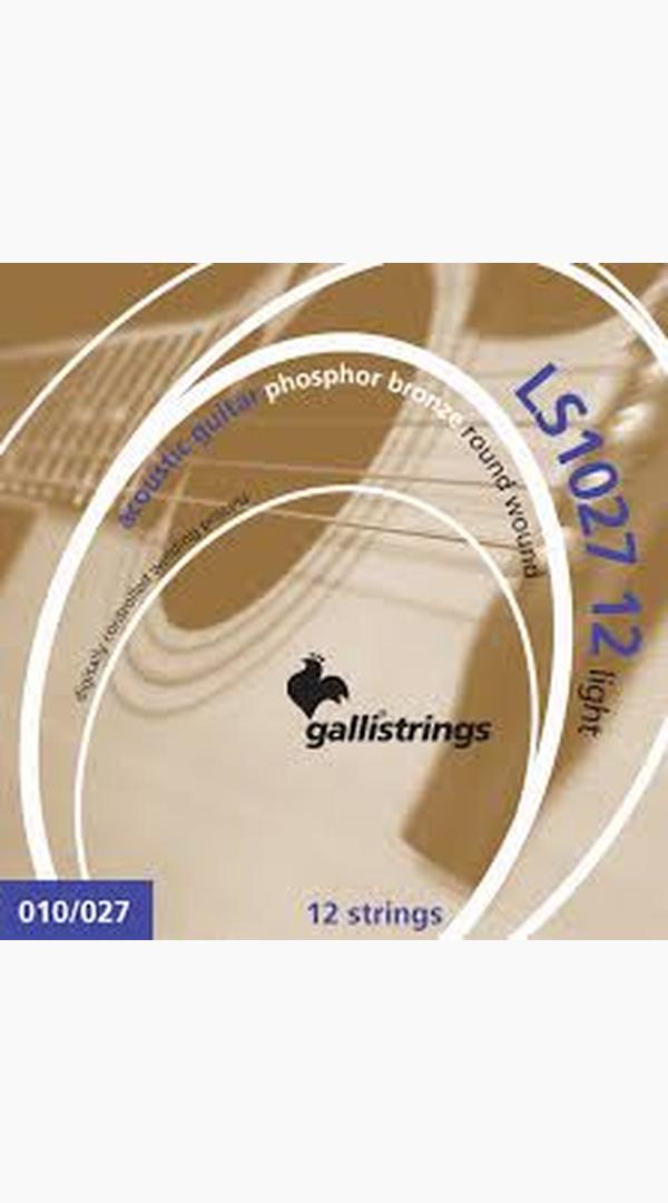 Galli LS1027 12 String Acousitc - Sieffs Music