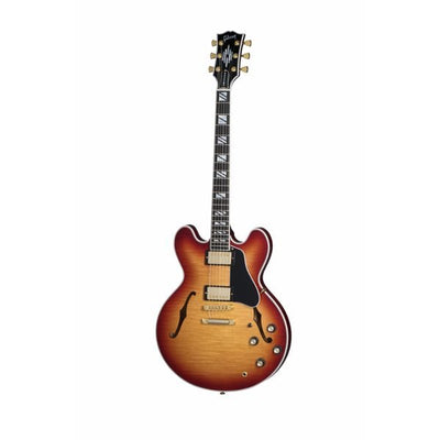 Electric Guitars