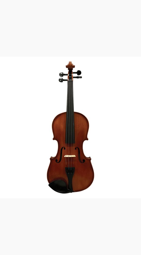 Hidersine HW3180A Studenti Academy 'Finetune' 4/4 Violin Student Outfit - Sieffs Music