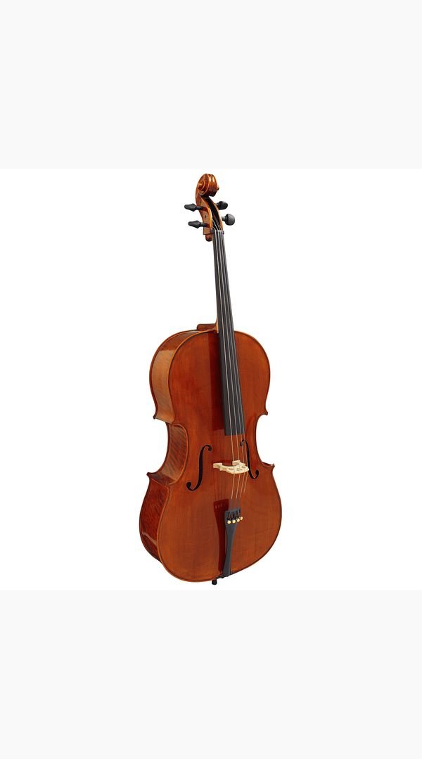 Hidersine Piacenza Cello Outfit 4/4 - Sieffs Music