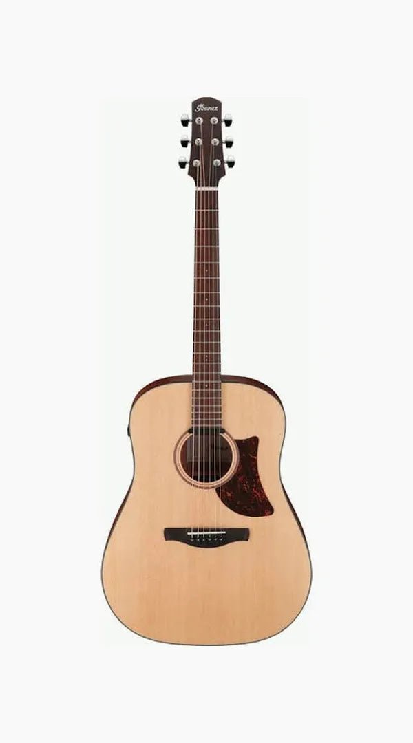 Ibanez AAD100E - OPN - Sieffs Music