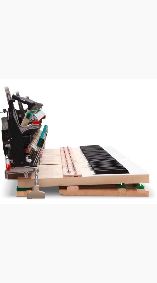 Kawai NV6 Hybrid Digital Piano - Sieffs Music