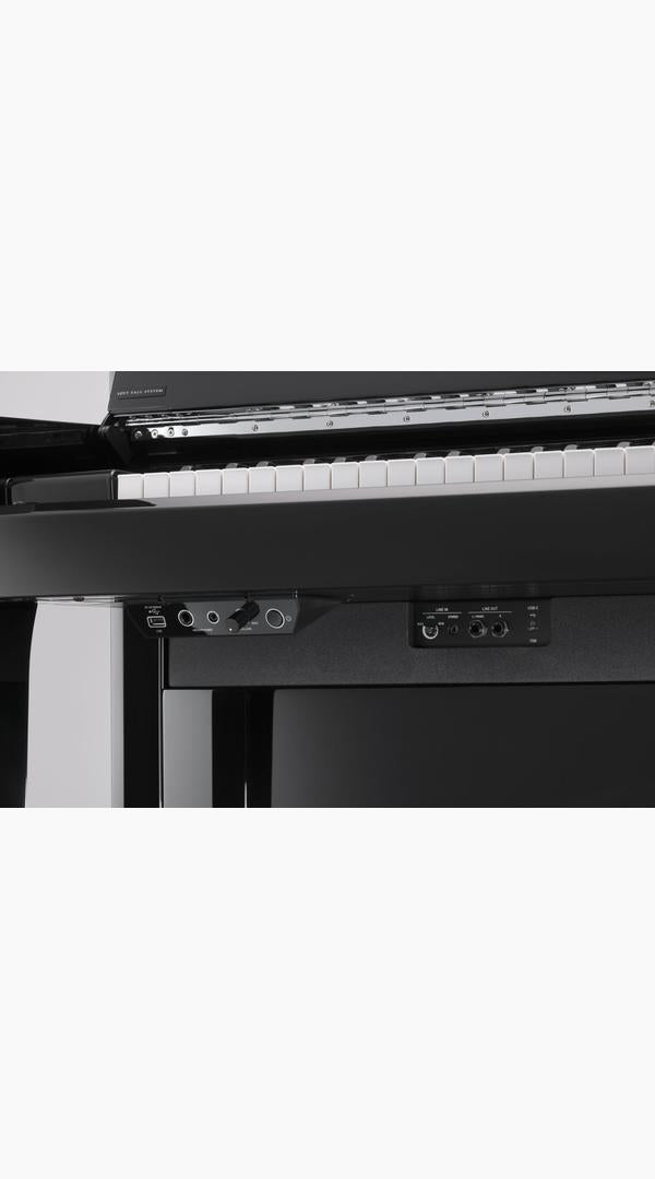 Kawai NV6 Hybrid Digital Piano - Sieffs Music