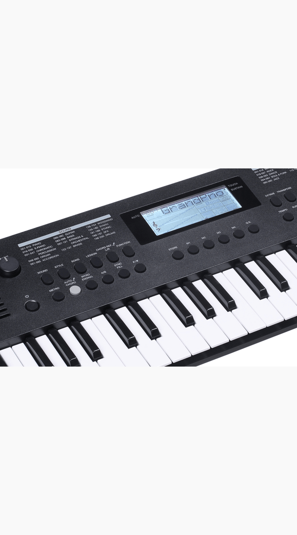 Medeli MK49 Keyboard - Sieffs Music