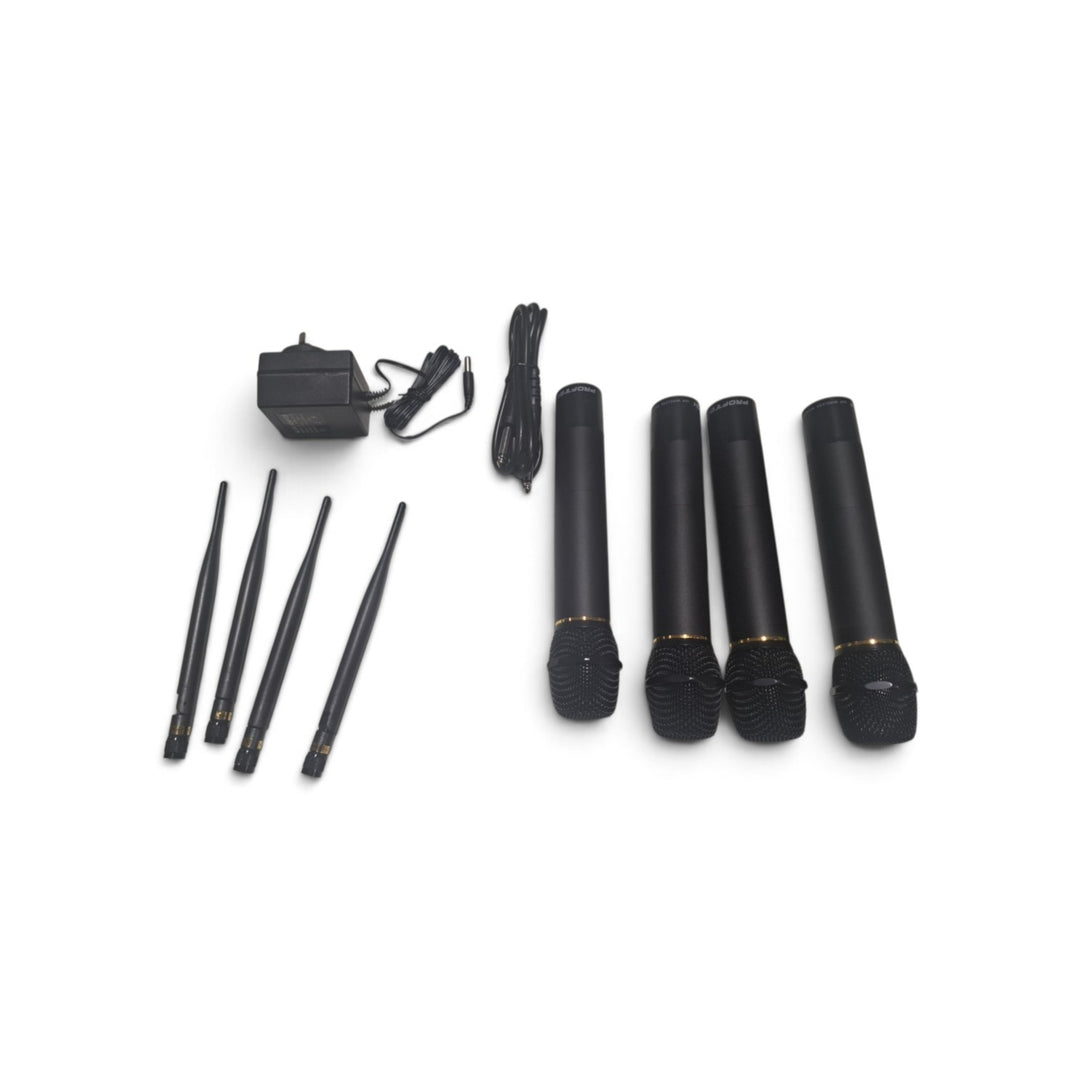 Proftech Professional Microphone System