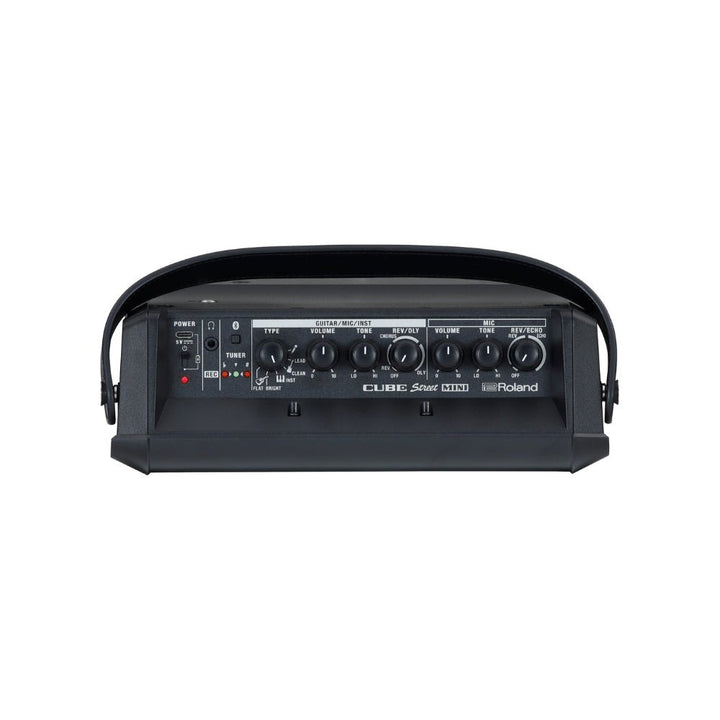 Roland Cube Steet Mini - Portable Battery Powered Amp - Sieffs Music