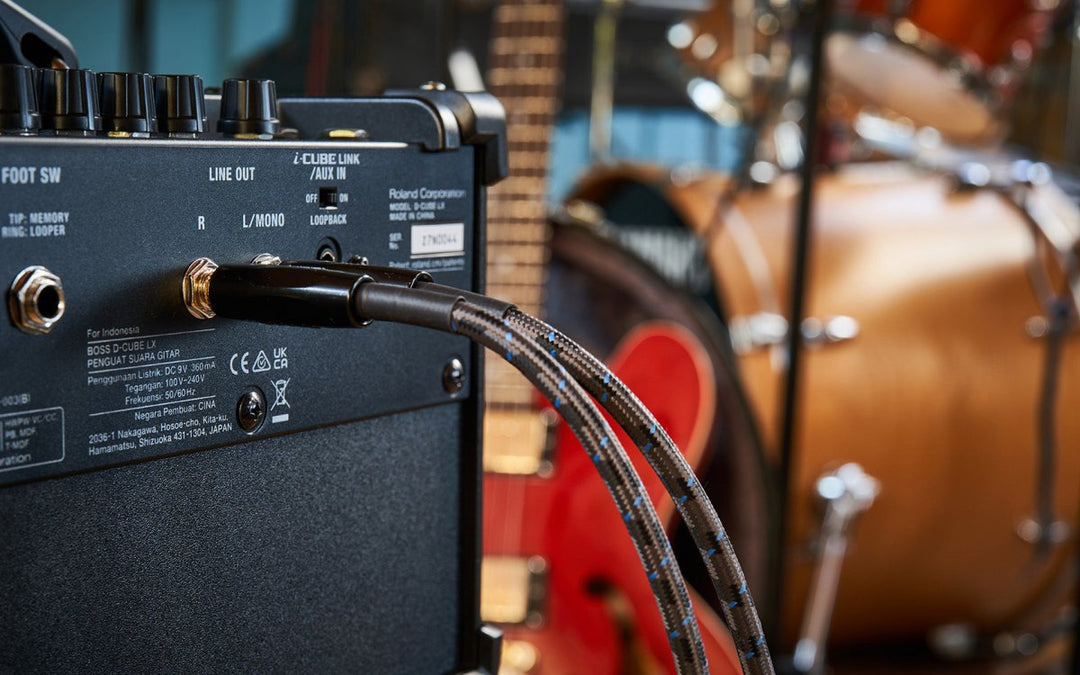 Roland D - CUBE LX Dual Cube LX - Sieffs Music