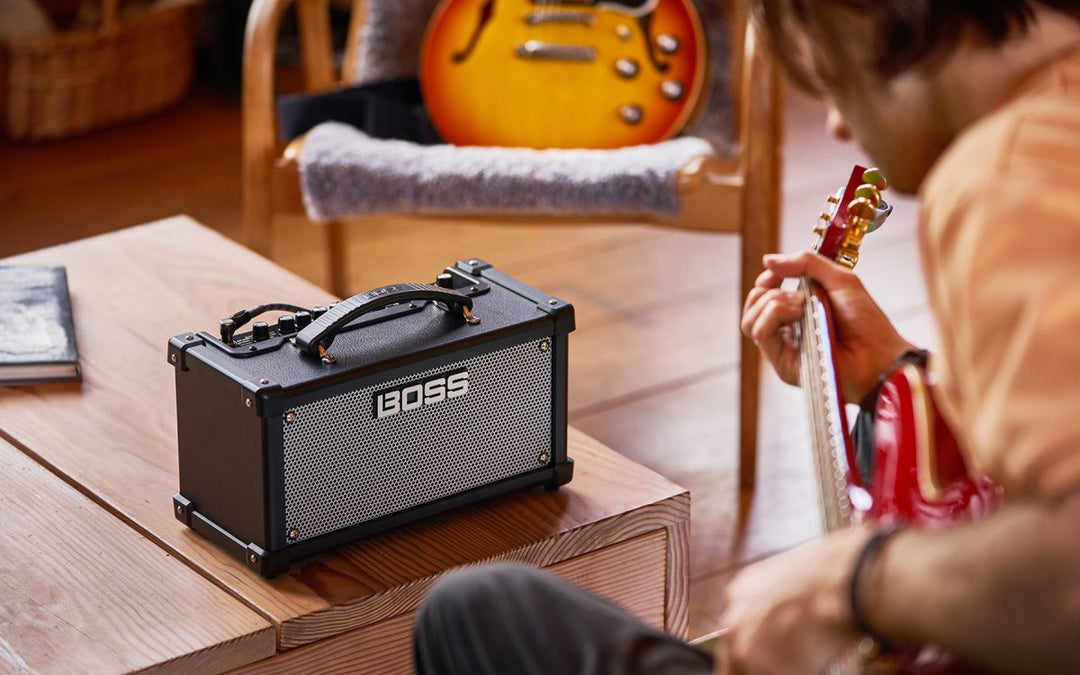 Roland D - CUBE LX Dual Cube LX - Sieffs Music