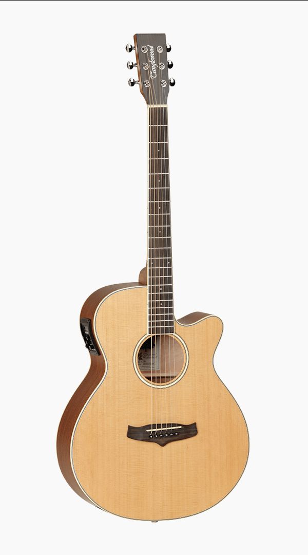 Tanglewood TW9 Winterleaf Folk C/E Acoustic Guitar - Sieffs Music