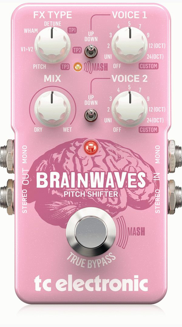 TC ELECTRONIC BRAINWAVES PITCH SHIFTER - Sieffs Music