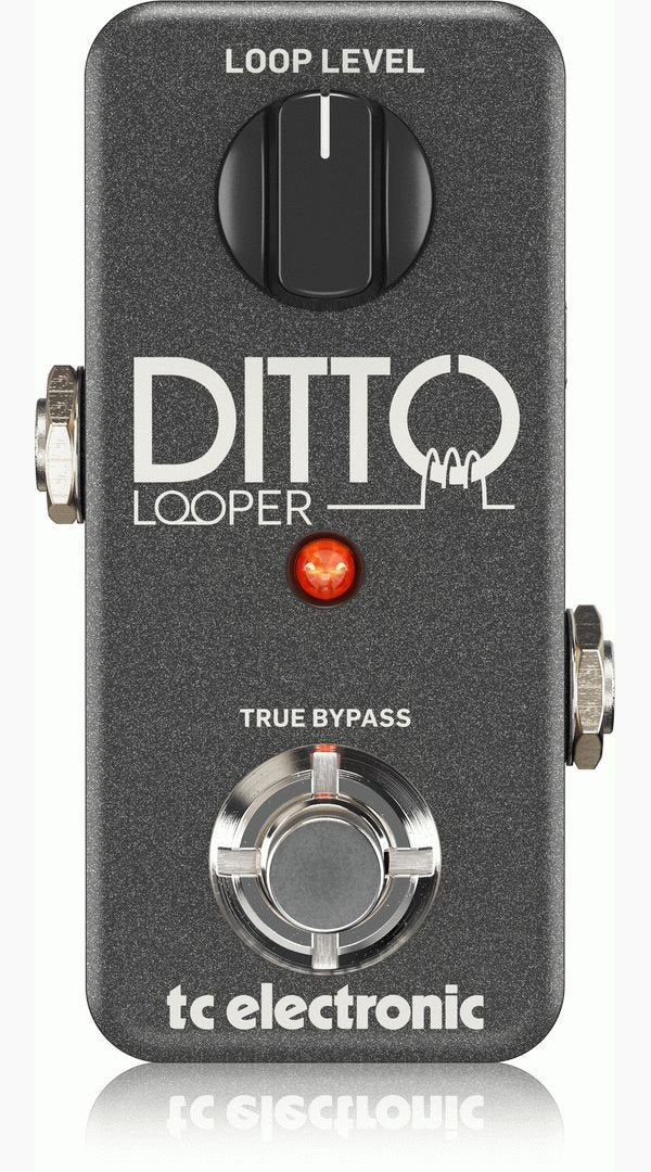 TC ELECTRONIC DITTO LOOPER - Sieffs Music