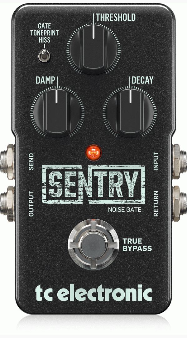 TC ELECTRONIC SENTRY NOISE GATE - Sieffs Music