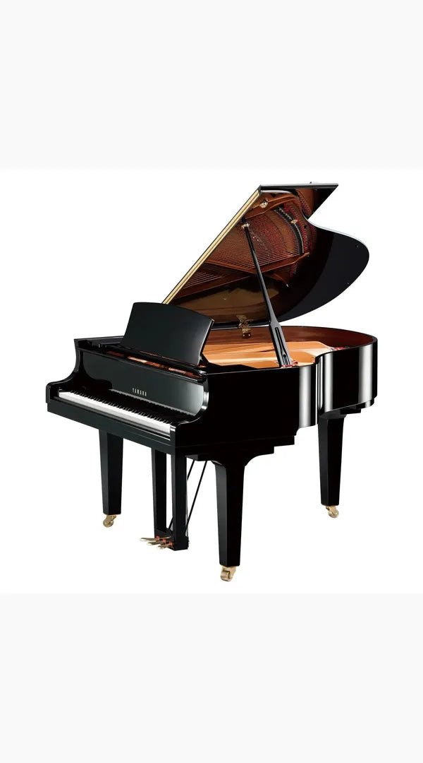 Yamaha C1X 161cm Premium Grand Piano - Sieffs Music