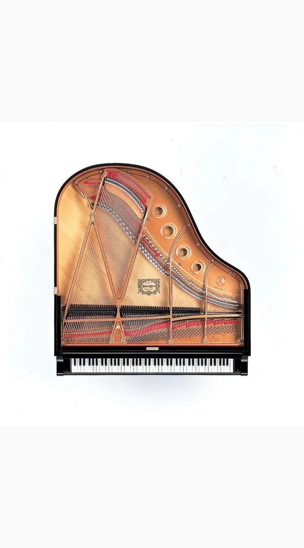 Yamaha C1X 161cm Premium Grand Piano - Sieffs Music