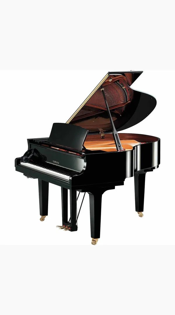 Yamaha C1X 161cm Premium Grand Piano - Sieffs Music