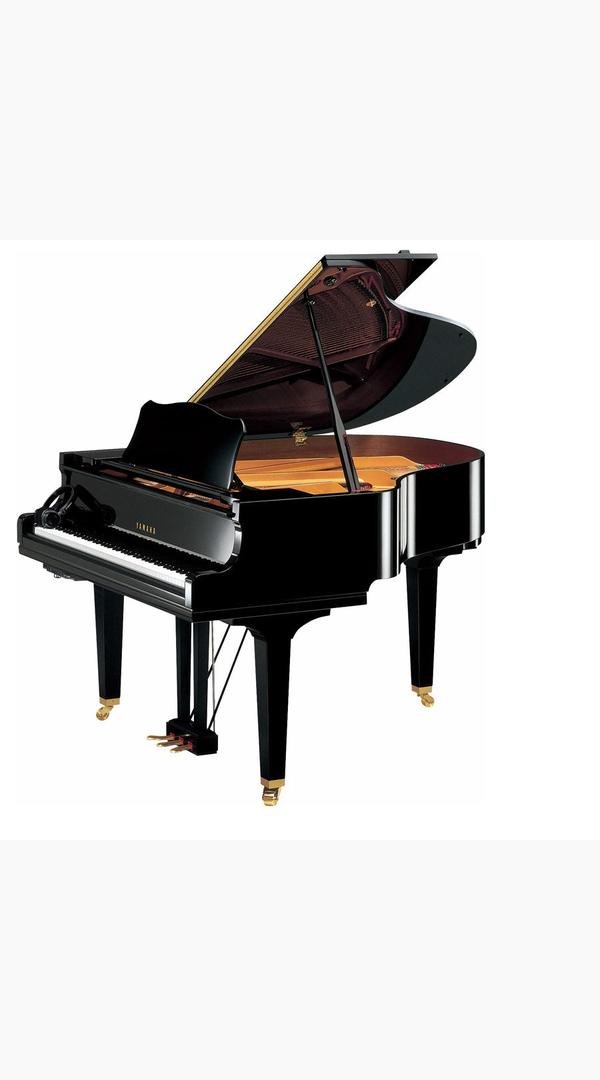 Yamaha GC1 161cm Grand Piano - Sieffs Music