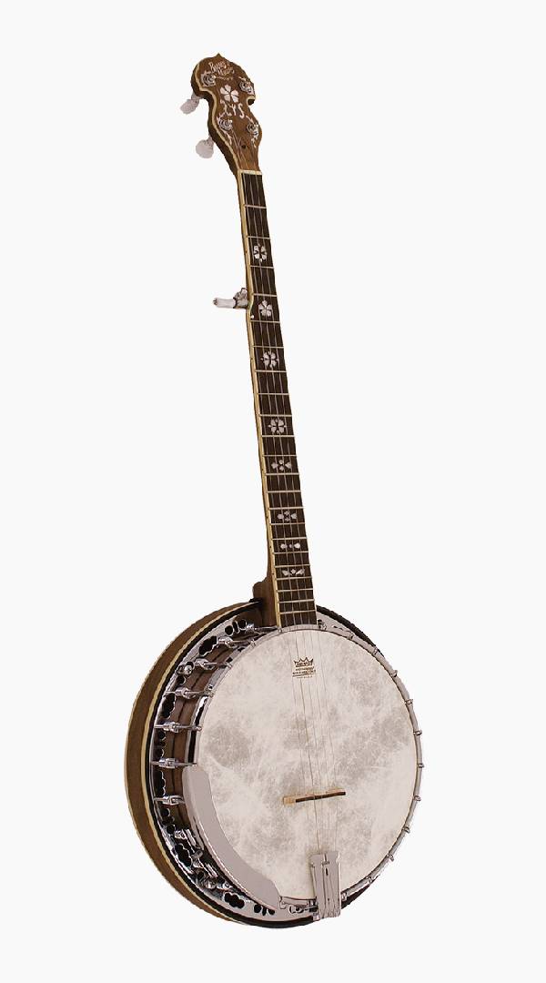 Barnes &amp; Mullins BJ500BW Empress 5-String Banjo - Sieffs Music