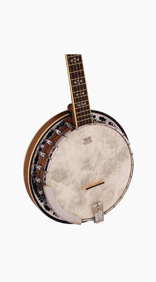 Barnes &amp; Mullins BJ500BW Empress 5-String Banjo - Sieffs Music