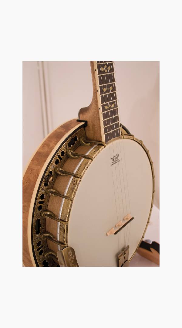Barnes &amp; Mullins BJ500M Troubadour 5-String Banjo - Sieffs Music