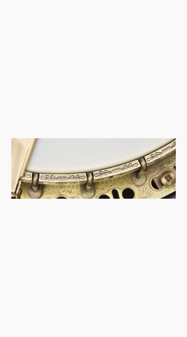 Barnes &amp; Mullins BJ500M Troubadour 5-String Banjo - Sieffs Music