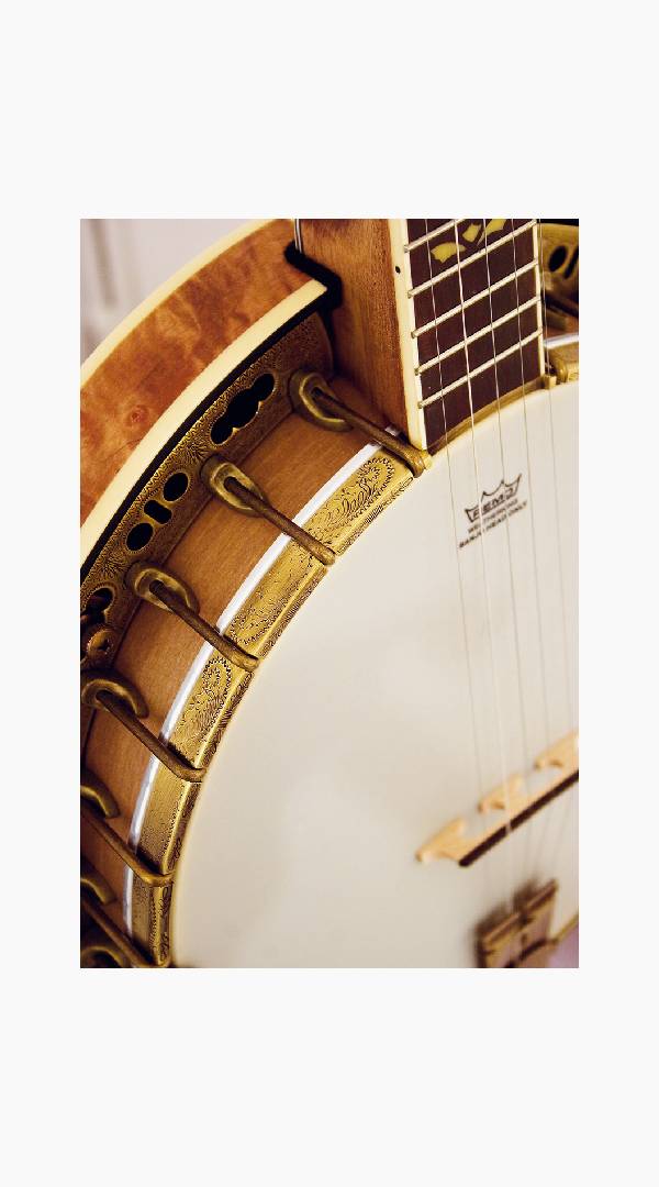Barnes &amp; Mullins BJ500M Troubadour 5-String Banjo - Sieffs Music