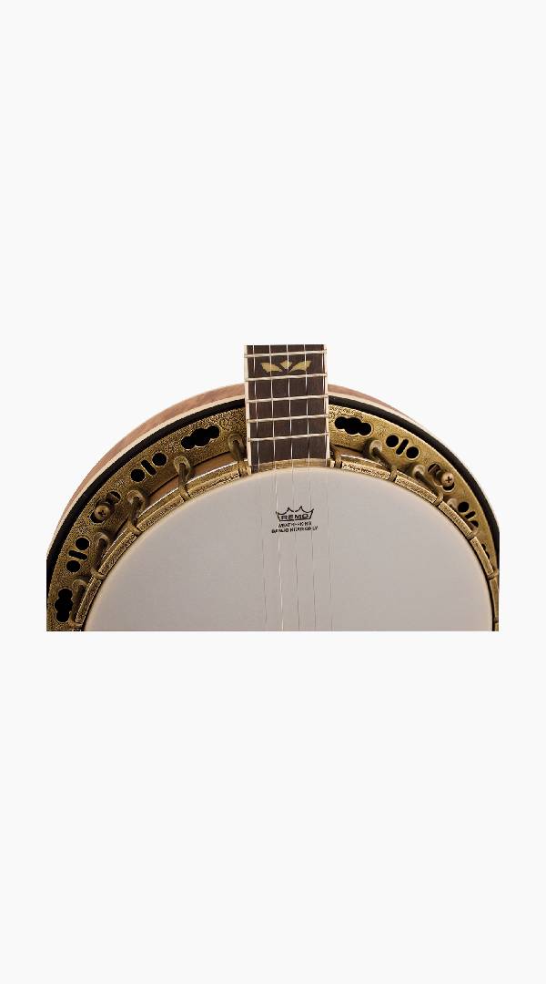 Barnes &amp; Mullins BJ500M Troubadour 5-String Banjo - Sieffs Music