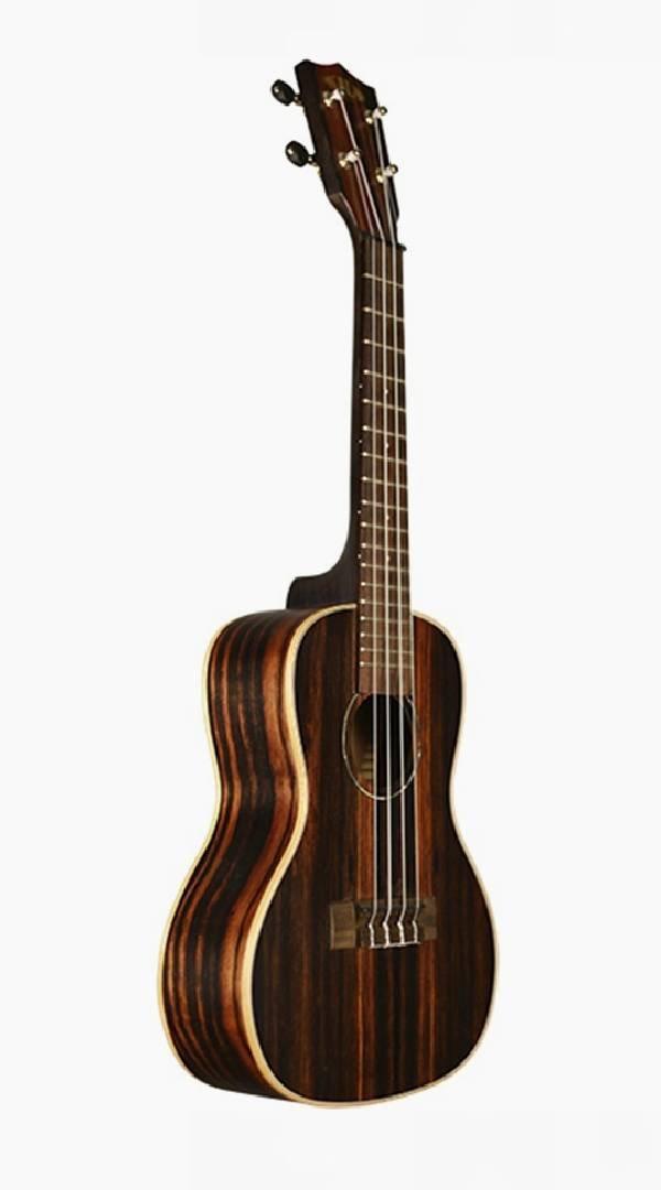 Kala Striped Ebony Concert Ukulele - Sieffs Music