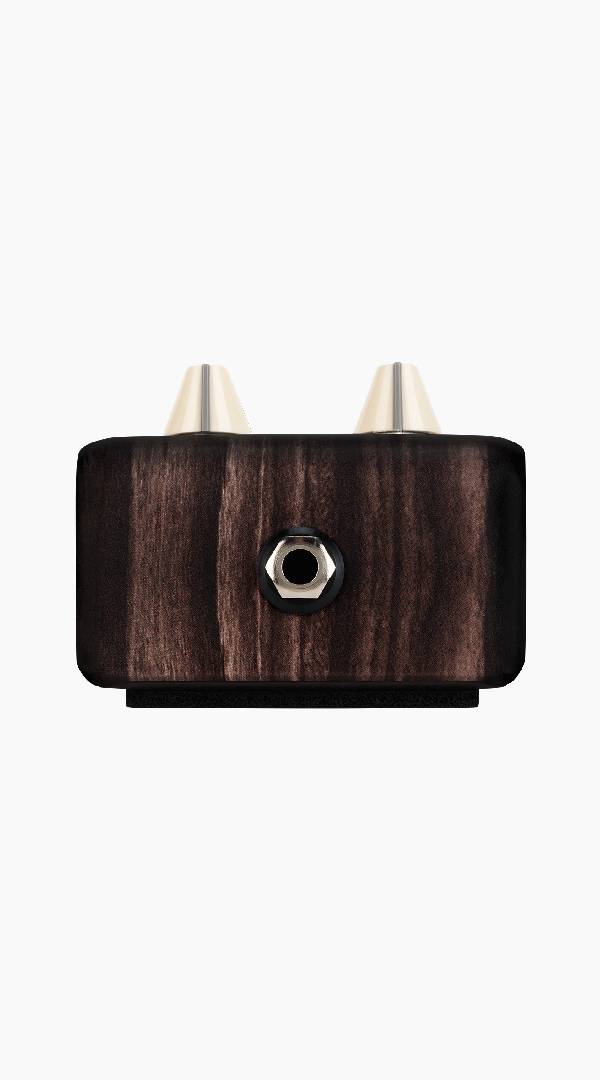 LR Baggs LRBALIGNDELAY Align Delay Pedal - Sieffs Music