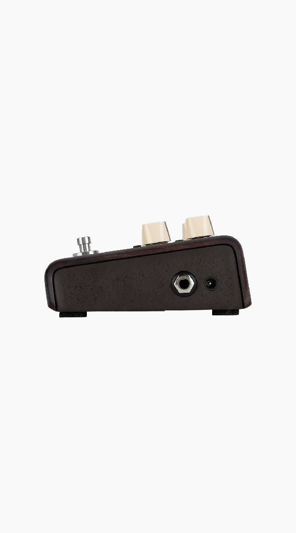 LR Baggs LRBALIGNDELAY Align Delay Pedal - Sieffs Music