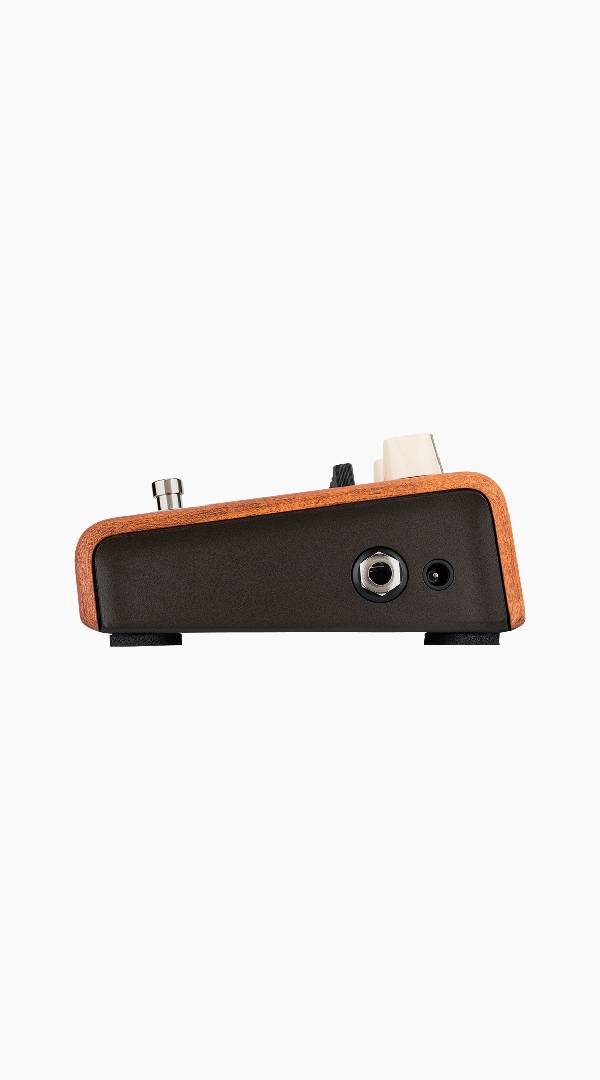 LR Baggs LRBALIGNEQ Align Equaliser Pedal - Sieffs Music