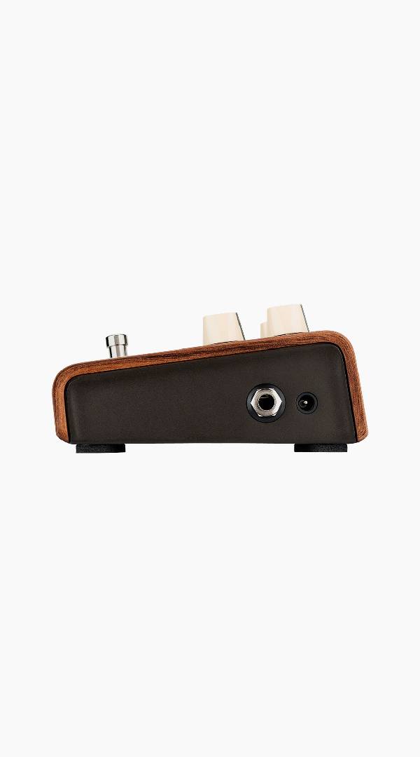 LR Baggs LRBALIGNREVERB Align Reverb Pedal - Sieffs Music