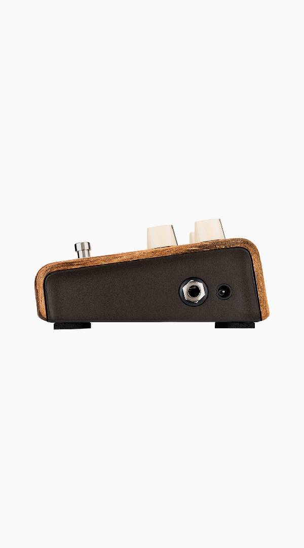 LR Baggs LRBALIGNSESSION Align Session Pedal - Sieffs Music