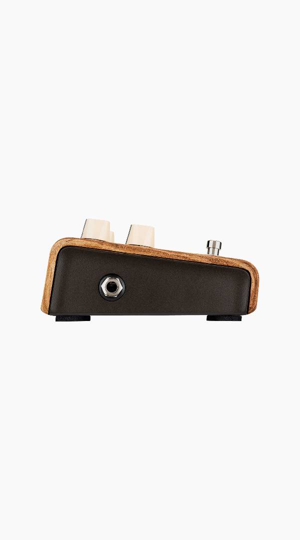 LR Baggs LRBALIGNSESSION Align Session Pedal - Sieffs Music