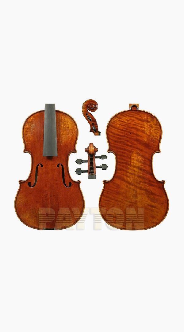 Raggetti Master Violin 6.2 Emiliani Strad - Sieffs Music