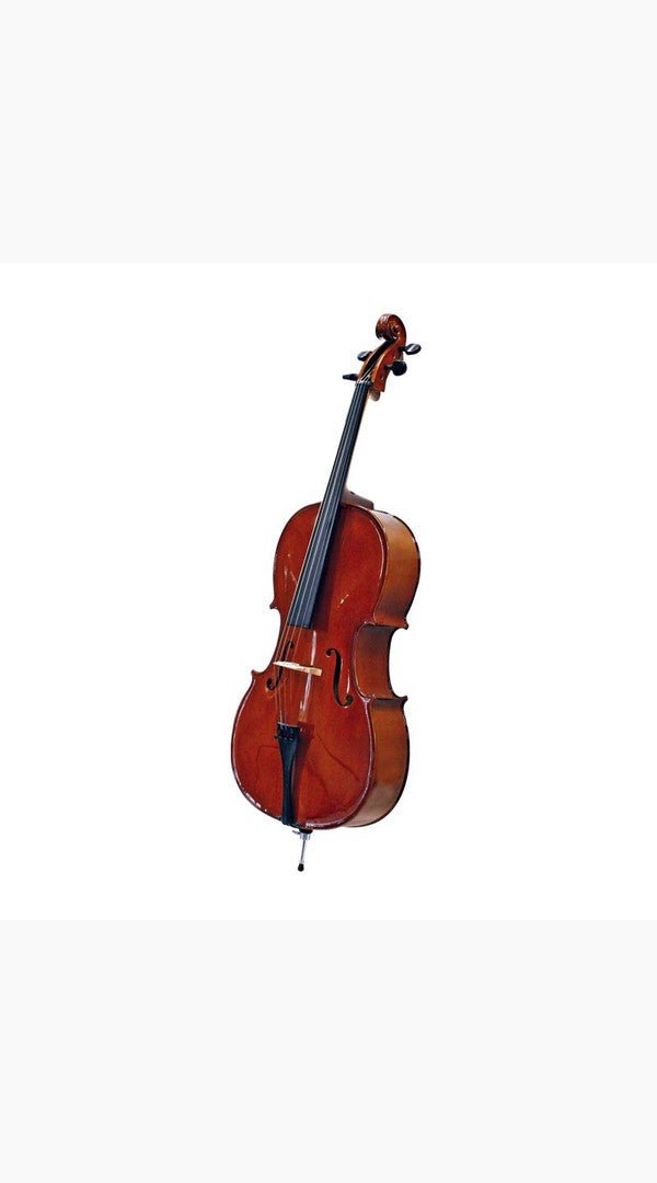 Stentor Cello Student 1 Full Size Outfit And Gig Bag S1044 - Sieffs Music