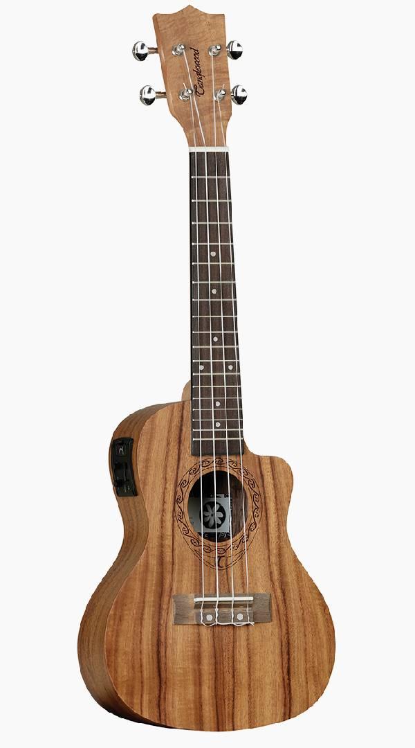 Tanglewood Tiare Series Concert size w/pickup - Sieffs Music