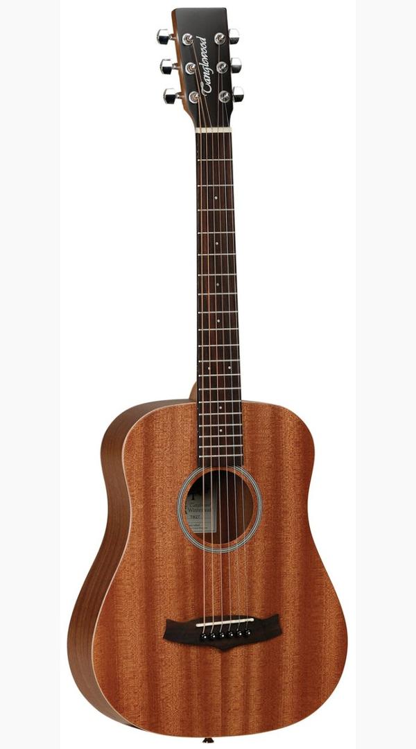 Tanglewood TW2T Winterleaf Traveller Mahogany w bag - Sieffs Music