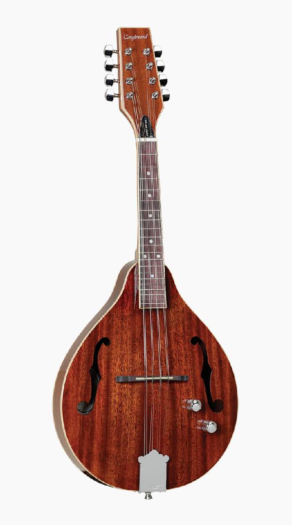 Tanglewood TWMTMHSTE Solid Mahogany Top Mandolin with Pickup - Sieffs Music