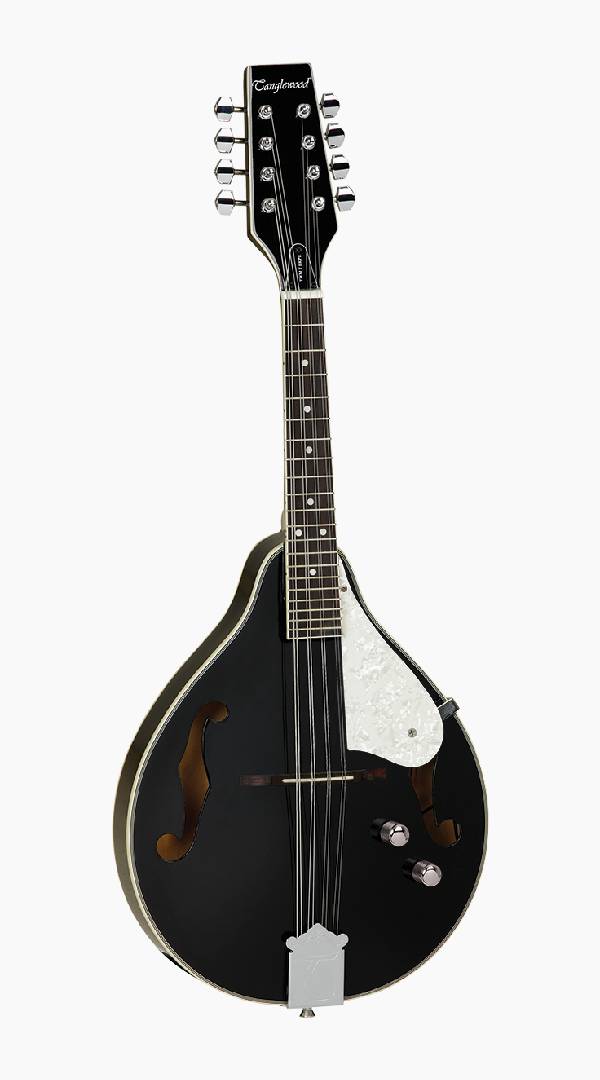 Tanglewood Union Series Mandolin Black With Pickup - Sieffs Music
