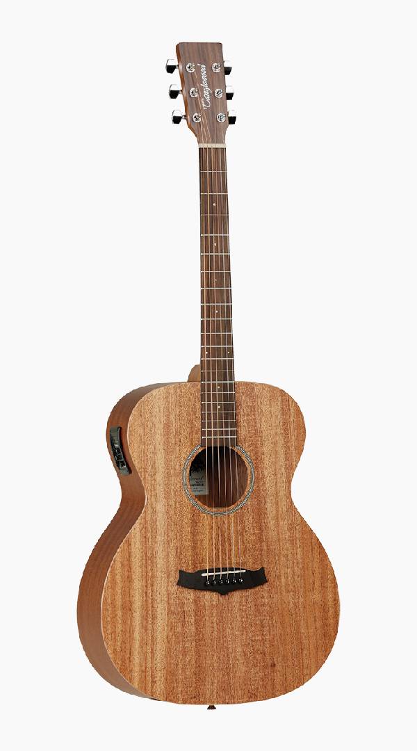 Tanglewood Winterleaf Acoustic Guitar with Case - Sieffs Music