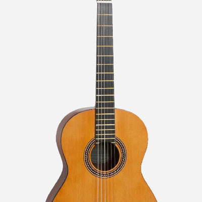 All Acoustic Guitars