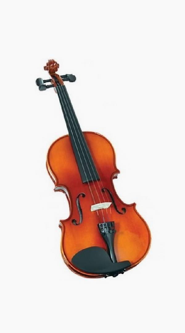 Valencia Traditional Chestnut Violin - Sieffs Music